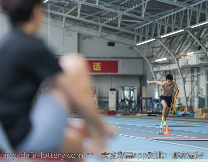 大发彩票app对比：哪家更好